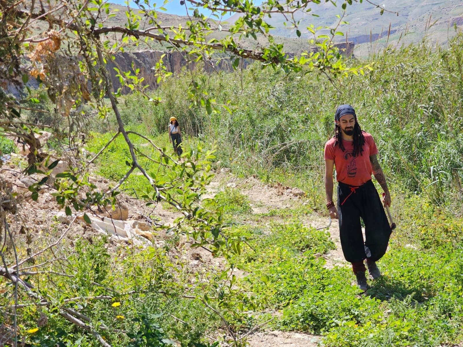 Jata walking a green wadi in Jordan